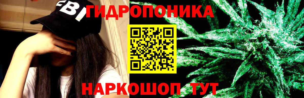 Мурино  Каннабис индика  Каннабис сатива  Бошки марихуана Ganja  Вход с VPN 